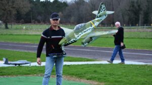 Une hirondelle pour le printemps!