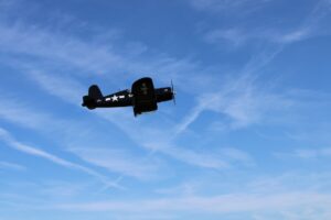 F4U CORSAIR_flight_light