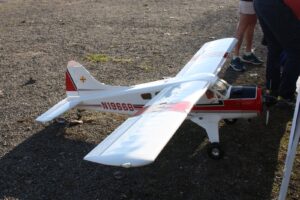 IMG-20221021-WA0030