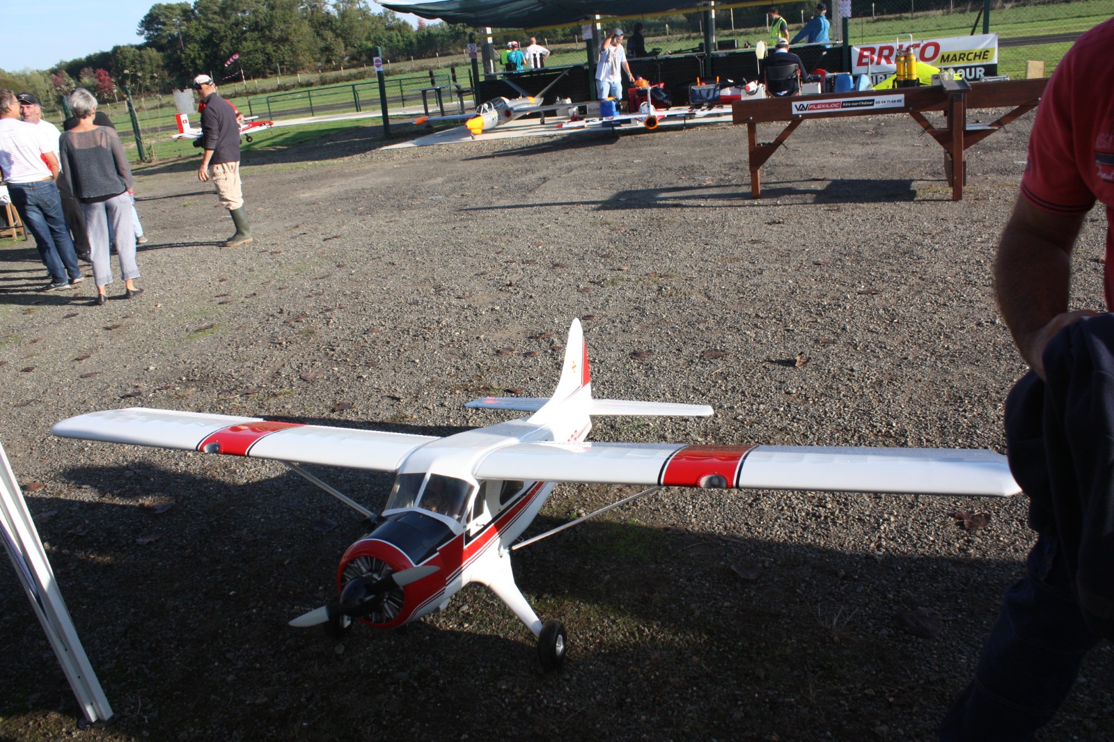 IMG-20221021-WA0031