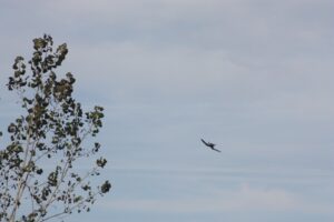 IMG-20221021-WA0061
