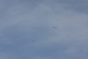 IMG-20221021-WA0081
