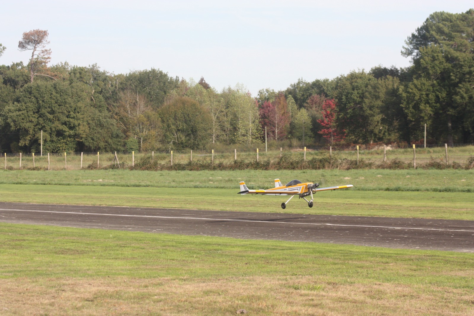 IMG-20221021-WA0083
