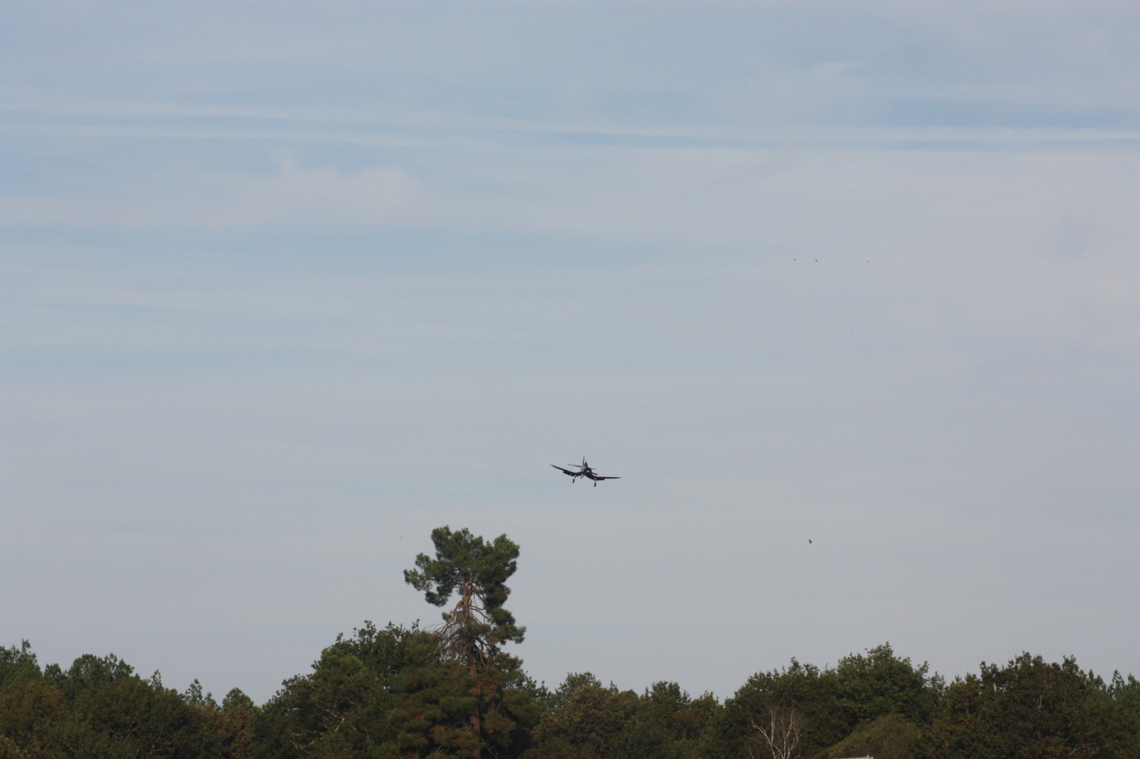 IMG-20221021-WA0084