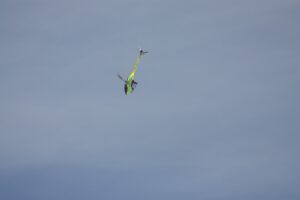 IMG-20221021-WA0091