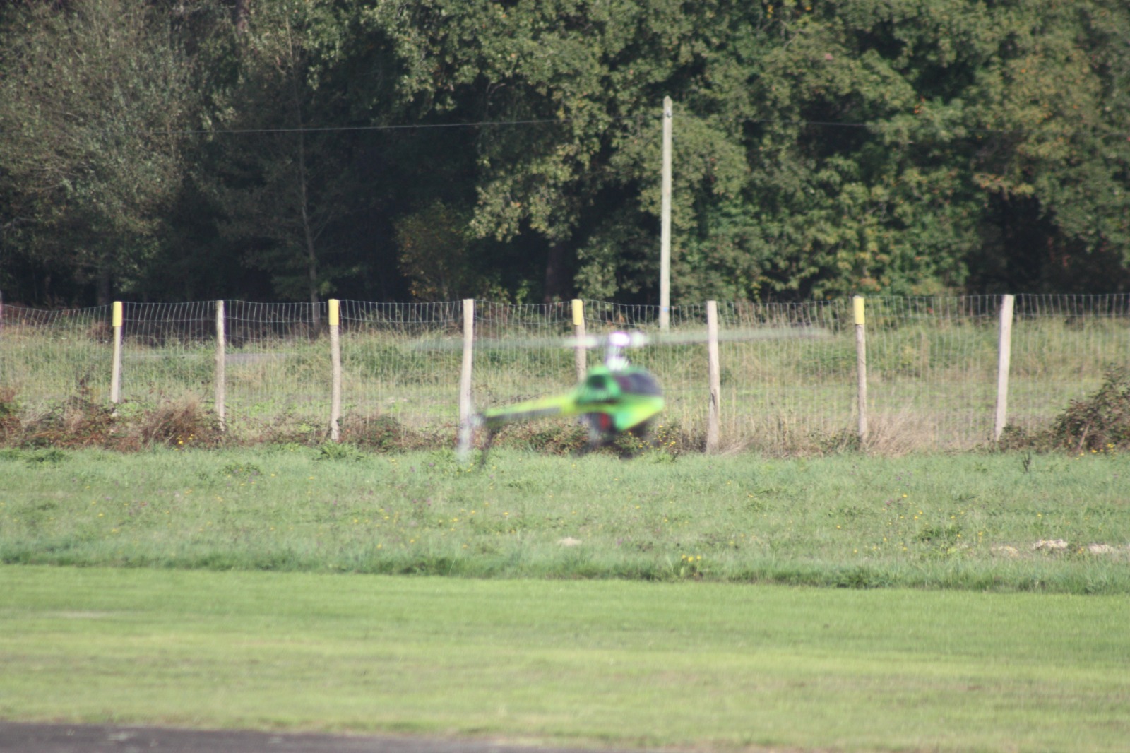 IMG-20221021-WA0095