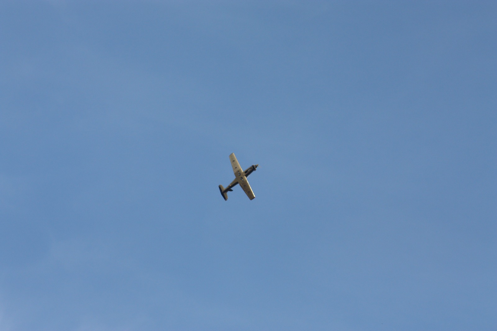 IMG-20221021-WA0106