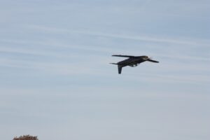 IMG-20221021-WA0109