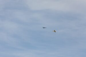 IMG-20221021-WA0115