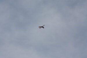IMG-20221021-WA0124