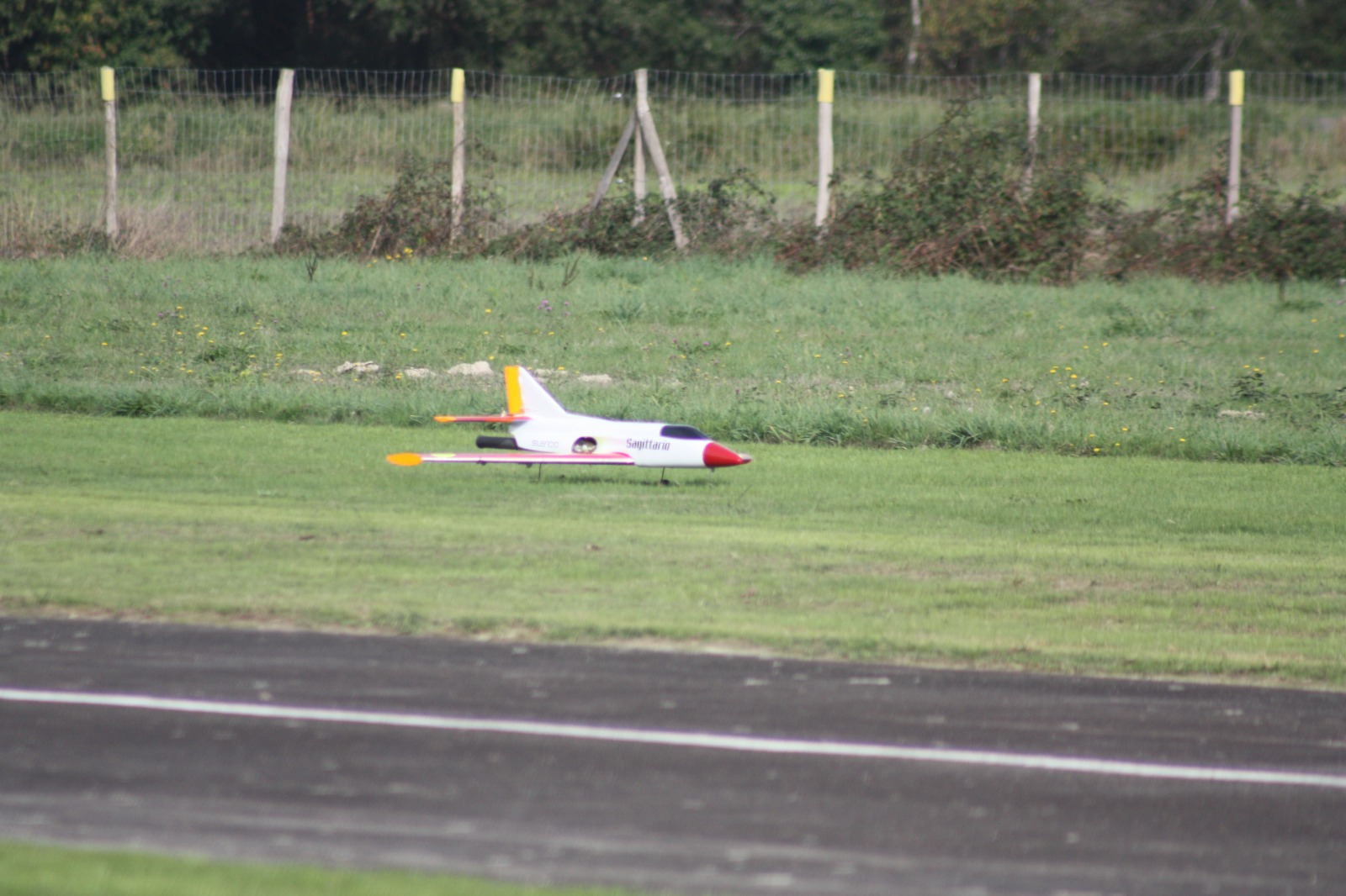 IMG-20221021-WA0126