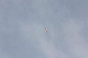 IMG-20221021-WA0134
