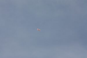 IMG-20221021-WA0135