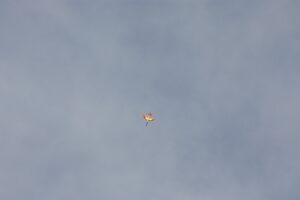 IMG-20221021-WA0143