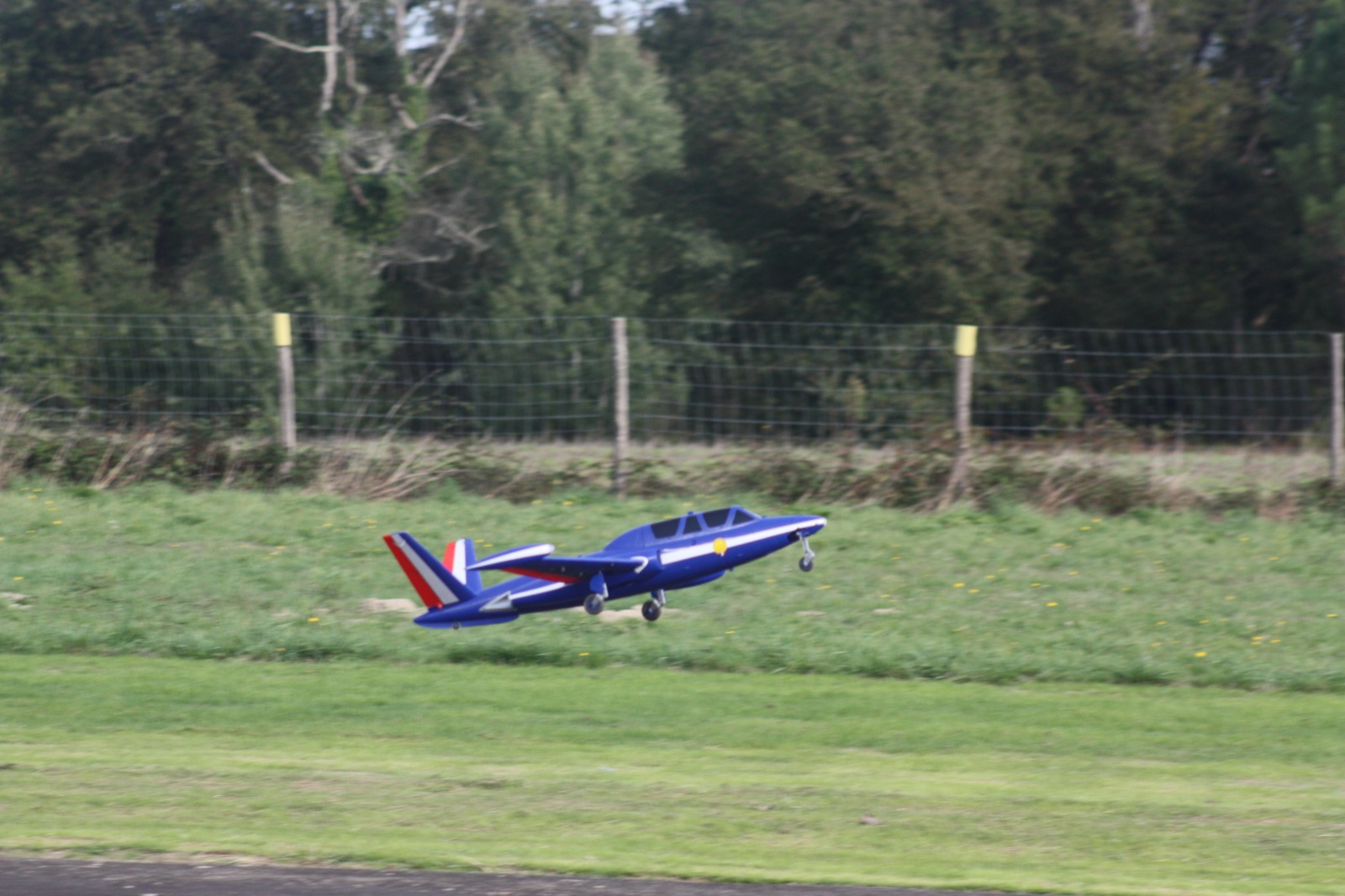 IMG-20221021-WA0146