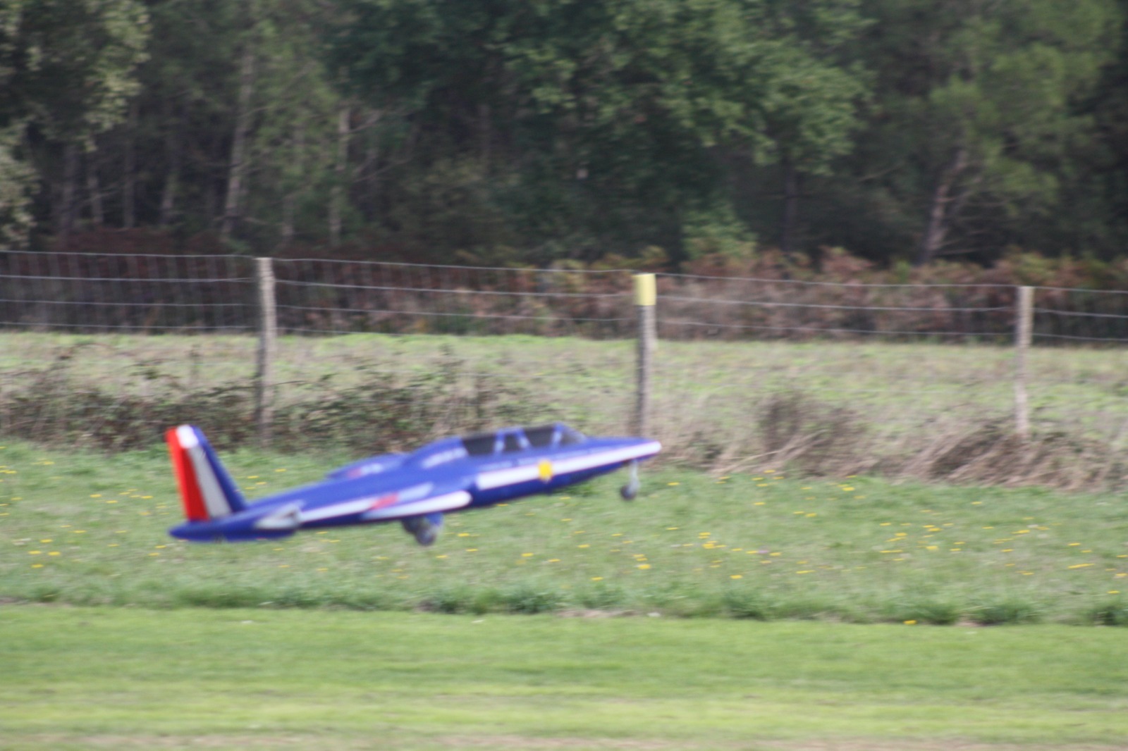 IMG-20221021-WA0147