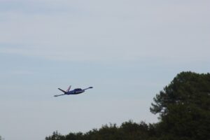 IMG-20221021-WA0152