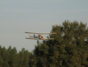 IMG_1458 (2)