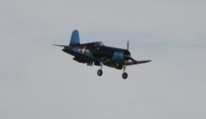 IMG_1510 (3)