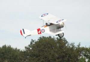 IMG_1536 (2)