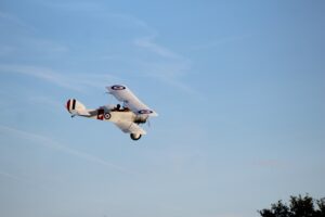 IMG_7179