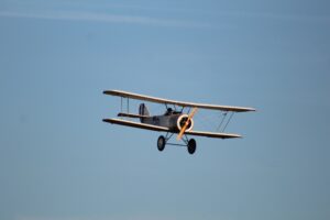IMG_7181
