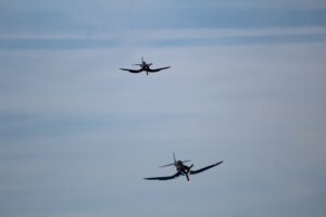 IMG_7246