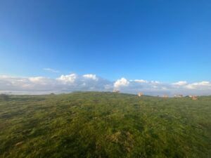 Damien2024-06-02 à 19.07.47_d4b8ce8d