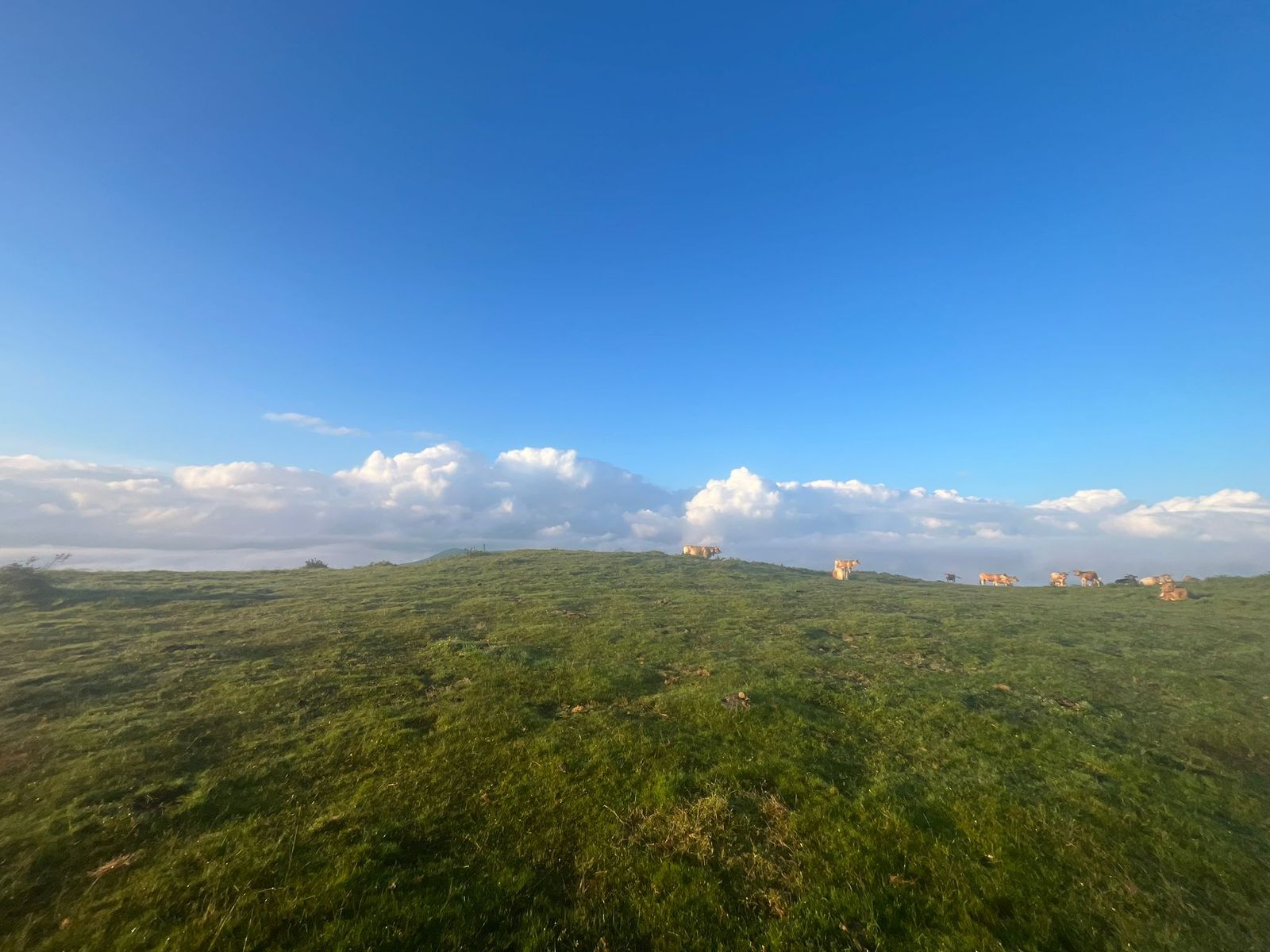 Damien2024-06-02 à 19.07.47_d4b8ce8d