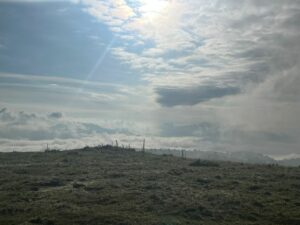 Damien2024-06-02 à 19.07.49_a37a8410