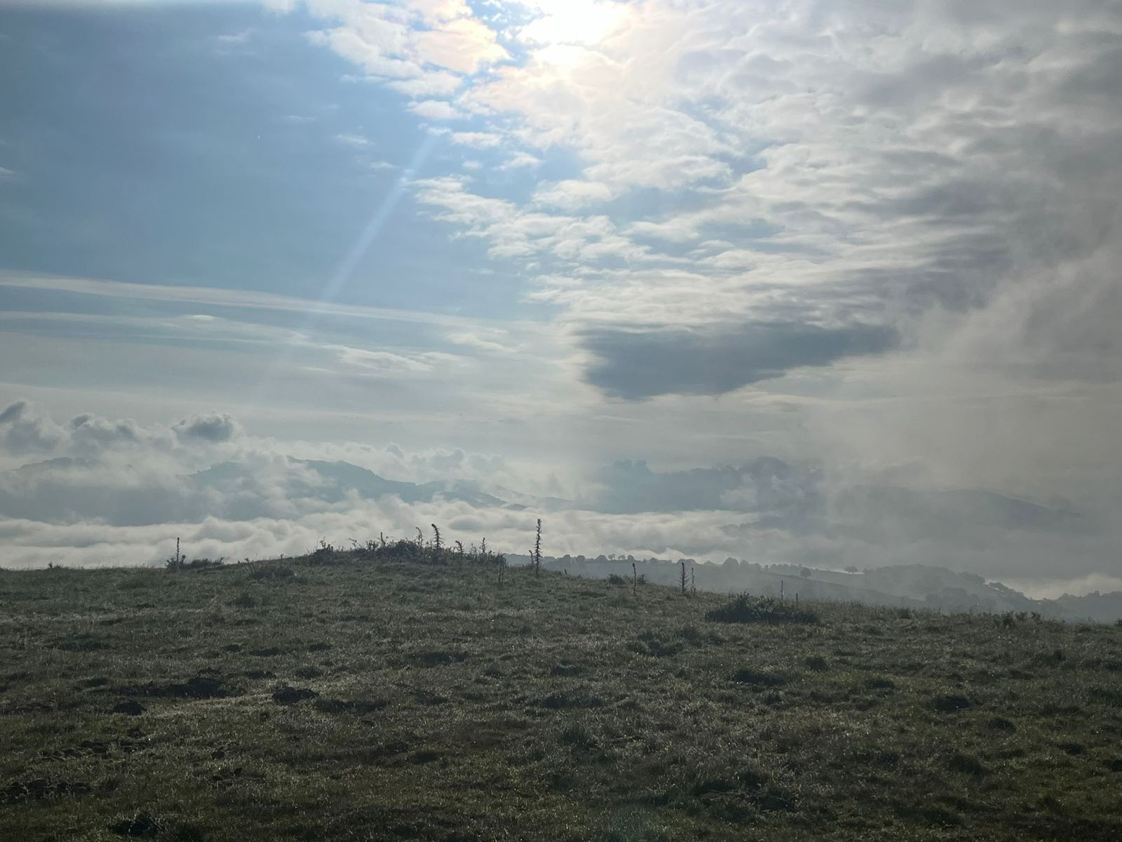 Damien2024-06-02 à 19.07.49_a37a8410