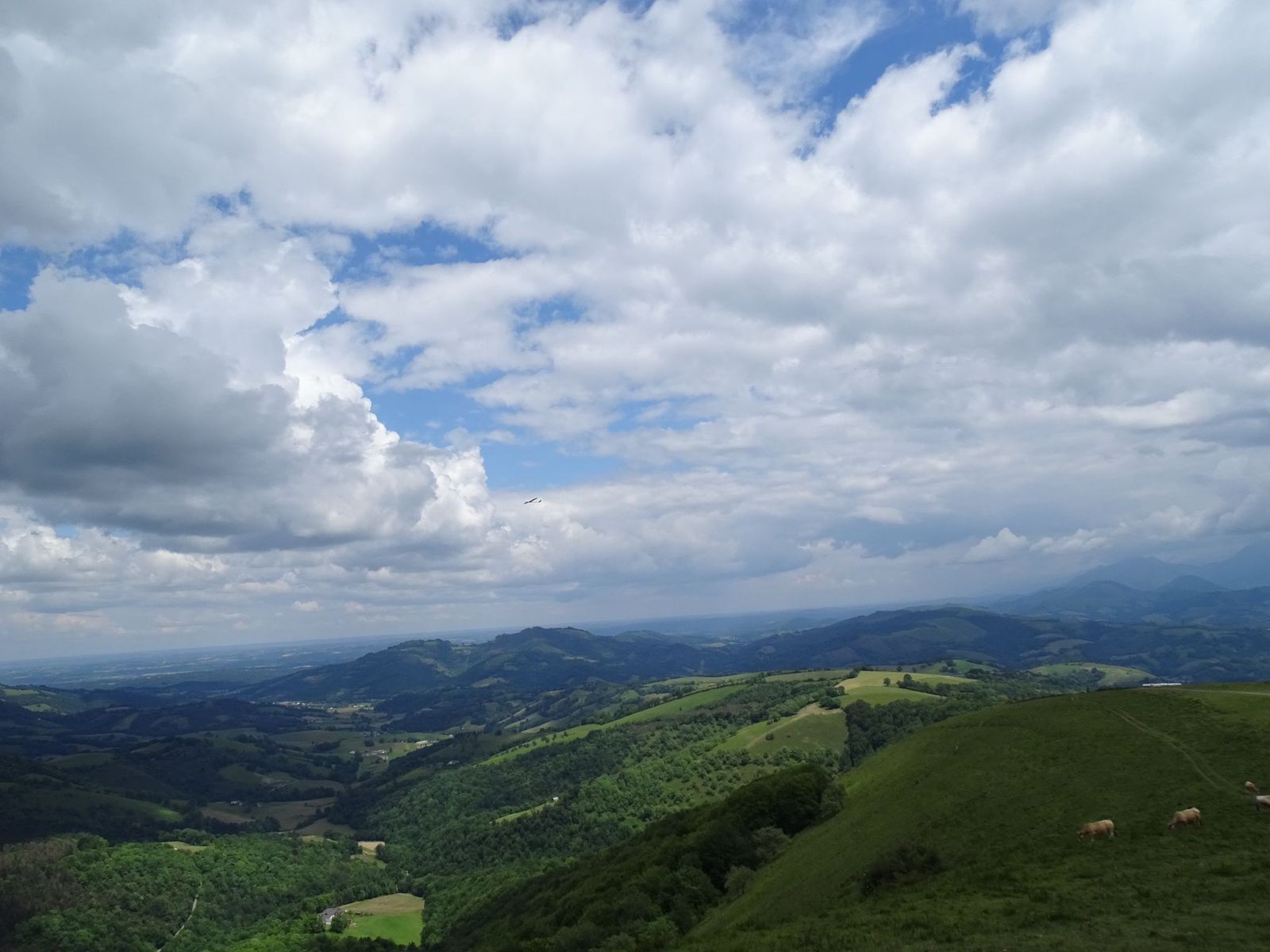 Damien2024-06-02 à 19.07.51_7735da1a