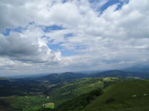 Damien2024-06-02 à 19.07.51_f04bf32a