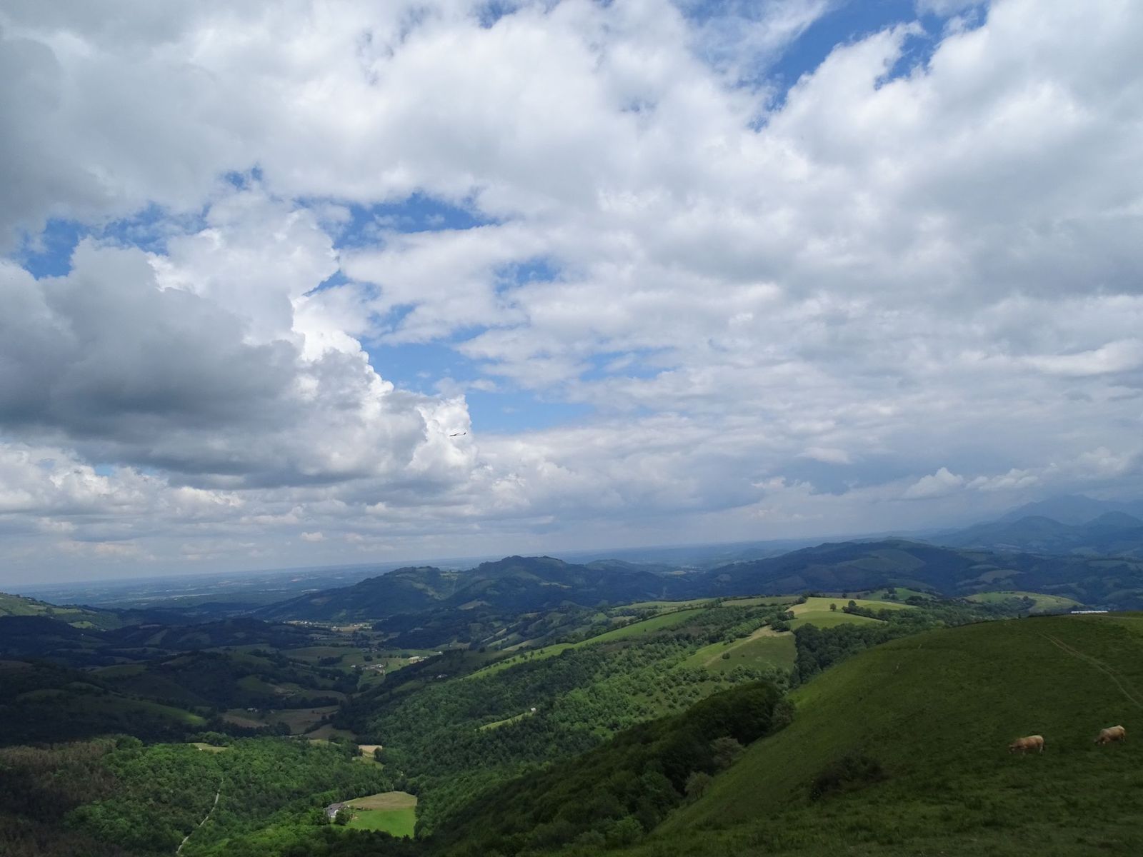 Damien2024-06-02 à 19.07.51_f04bf32a