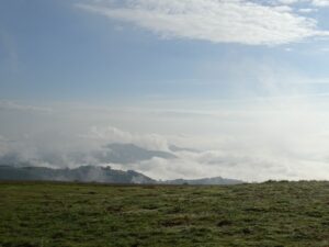 Damien2024-06-02 à 19.07.54_0244f941