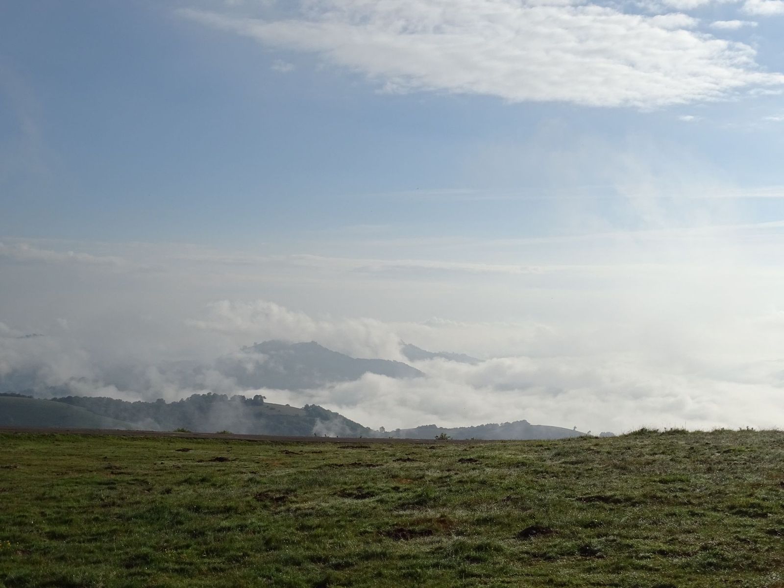 Damien2024-06-02 à 19.07.54_0244f941