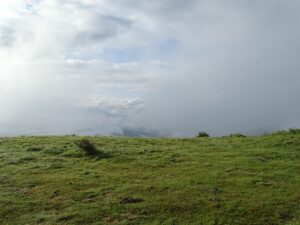 Damien2024-06-02 à 19.07.54_26510076