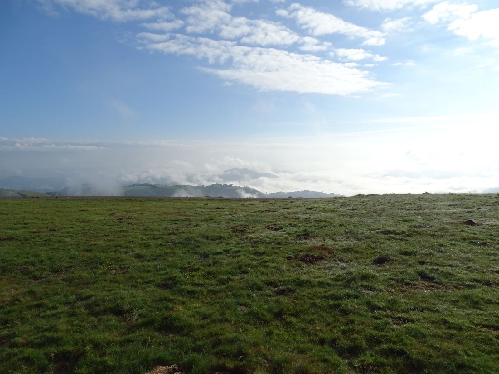 Damien2024-06-02 à 19.08.11_b7d9c203