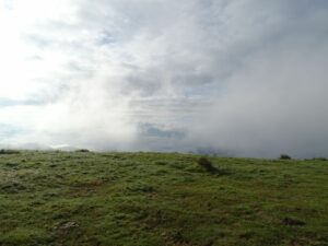 Damien2024-06-02 à 19.08.12_093fbcc2