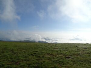 Damien2024-06-02 à 19.08.13_bdf64631