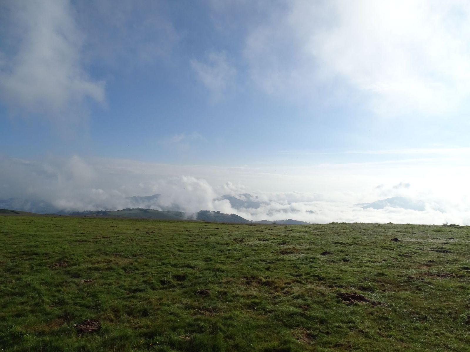 Damien2024-06-02 à 19.08.13_bdf64631