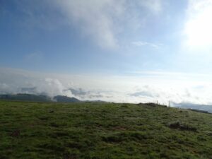 Damien2024-06-02 à 19.08.14_e400041e