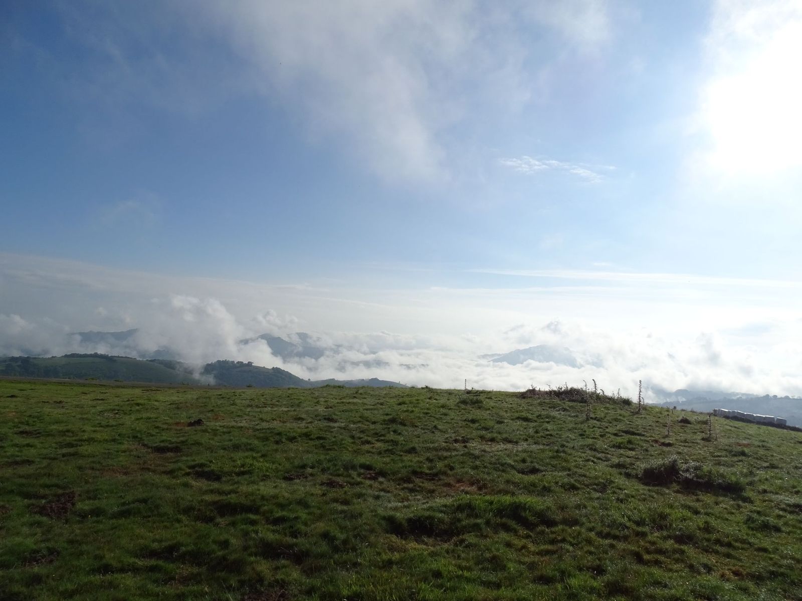 Damien2024-06-02 à 19.08.14_e400041e