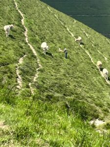 Damien2024-06-02 à 19.08.18_cd9c36e3