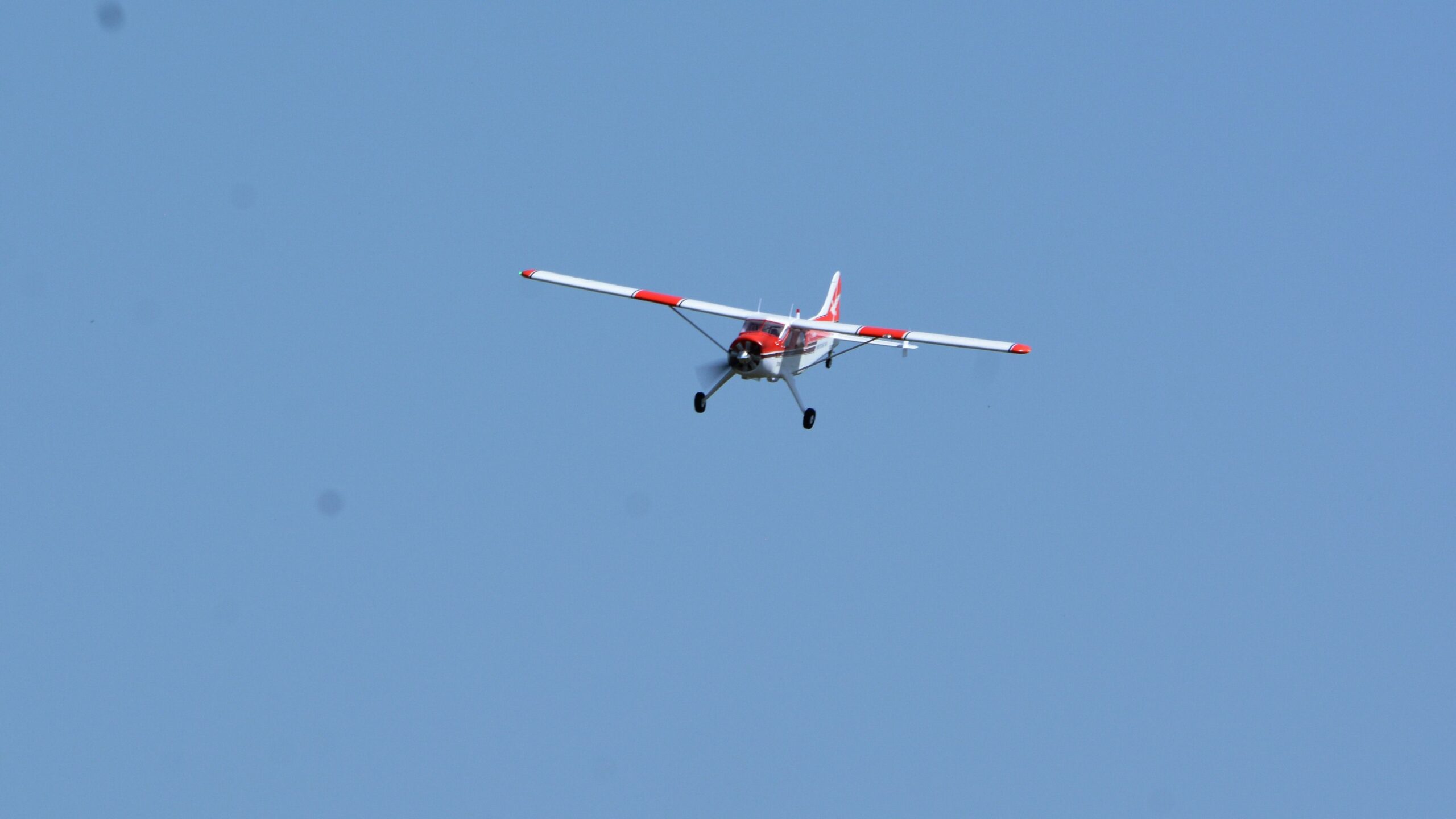 f0284352_Mick_0048
