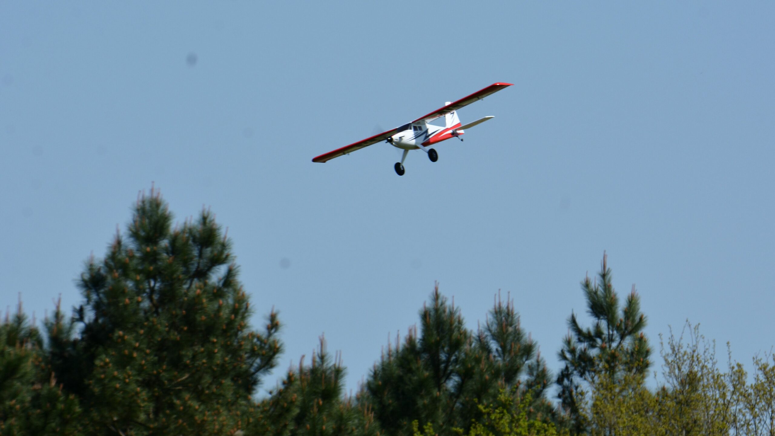 f1115328_Mick_0038