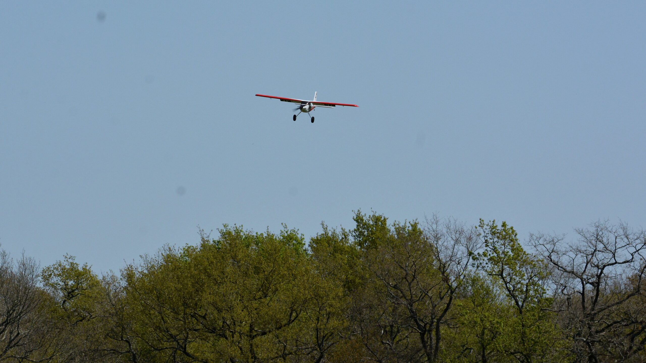 f1544960_Mick_0035