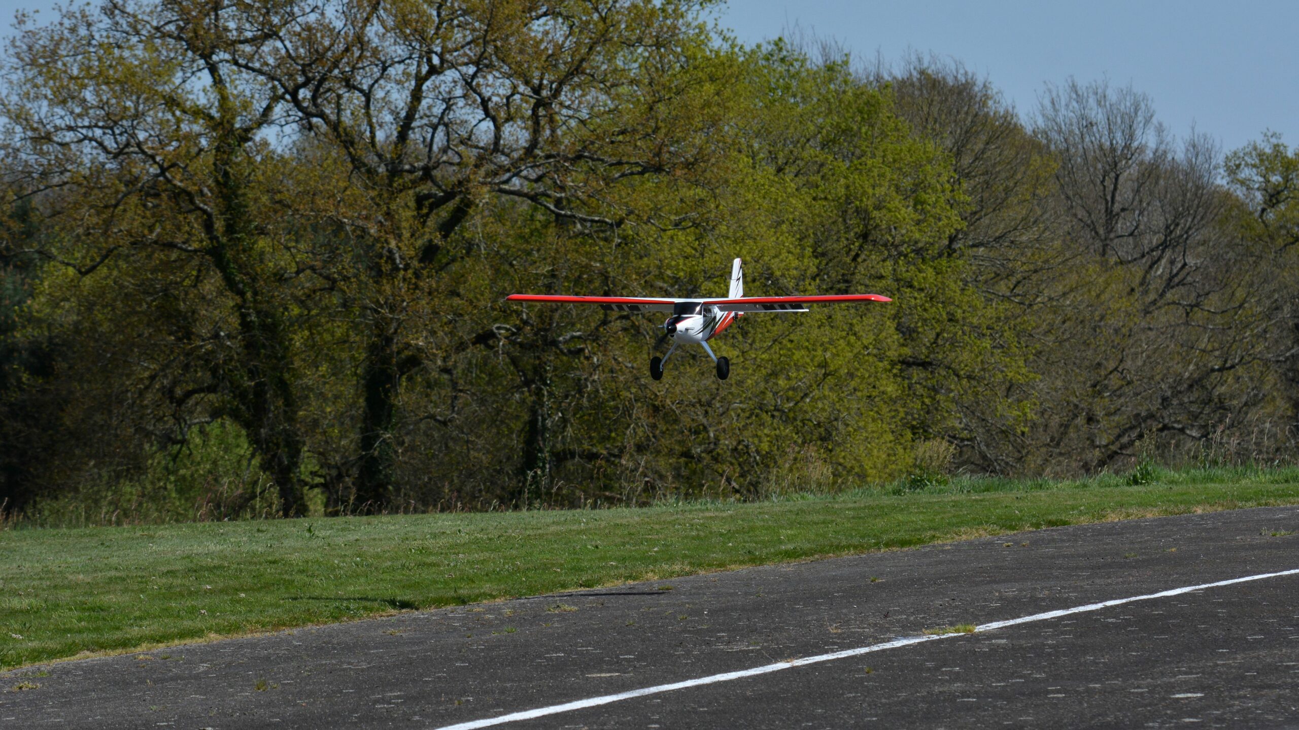 f1637184_Mick_0033