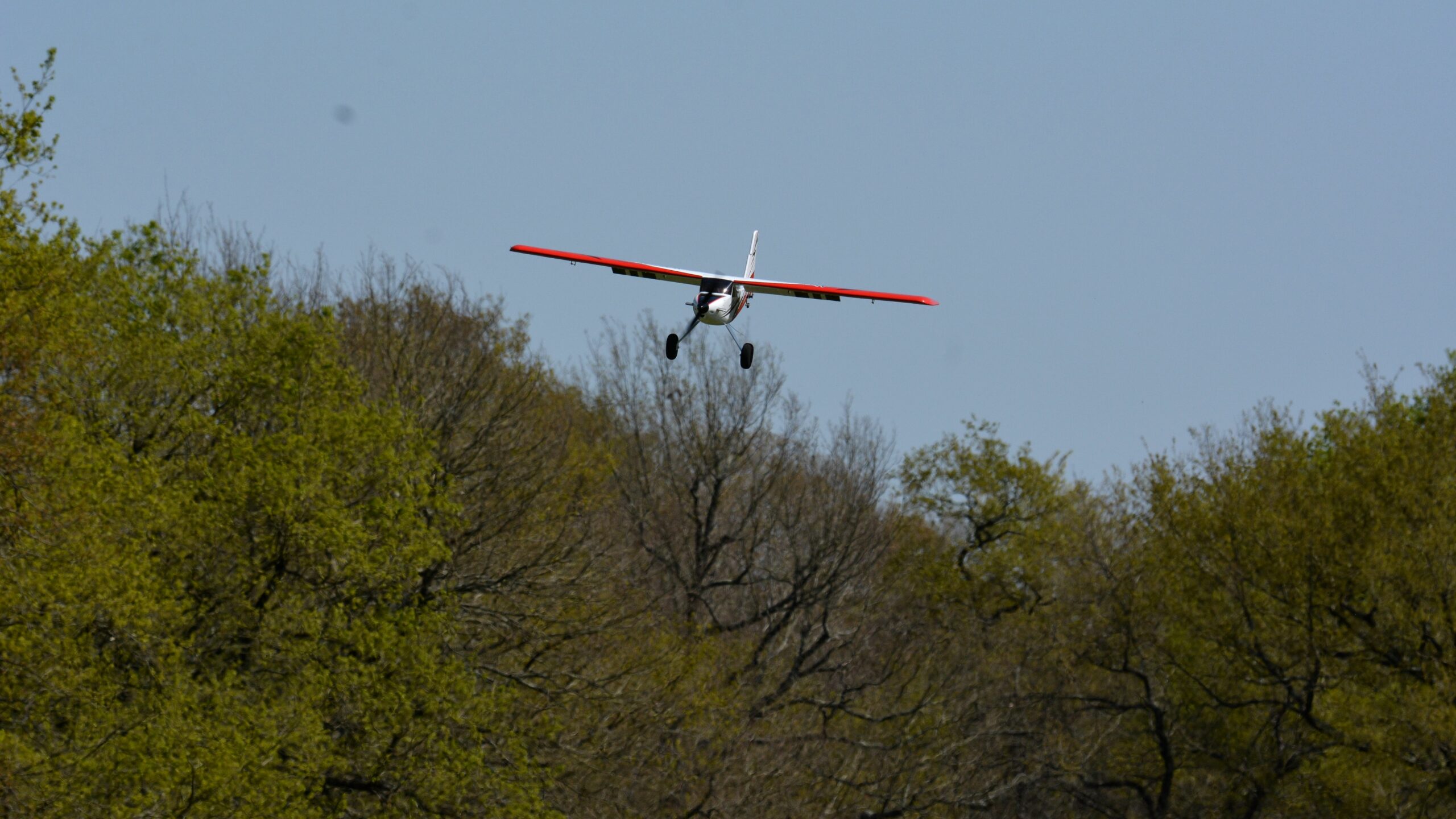 f1818880_Mick_0031