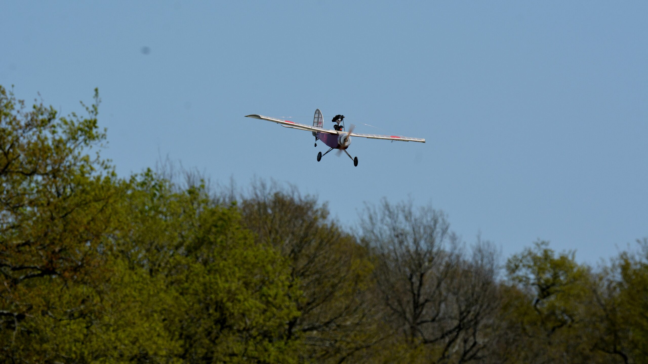 f2736832_Mick_0025